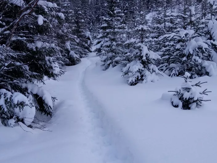 DSC 1700