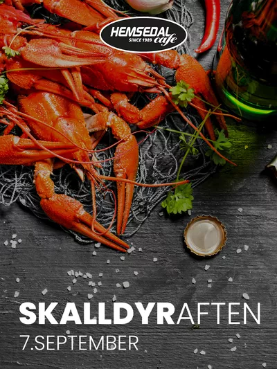 Hemsedal com stående