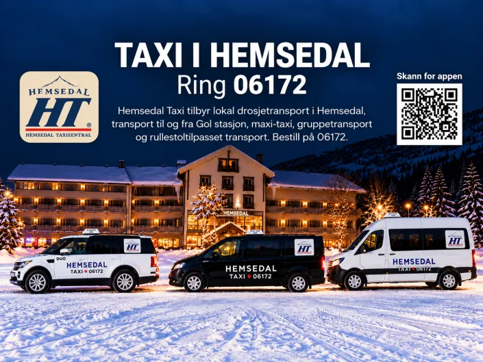 Hemsedal Taxi Hemsedal com 4x3