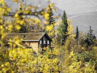 Skigaarden Hemsedal Norway ski resort Storelia chalets outdoors 6
