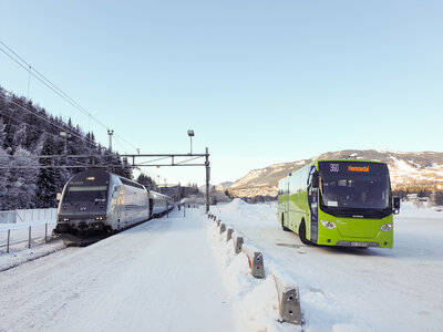 Buss og tog til Hemsedal VY 02781