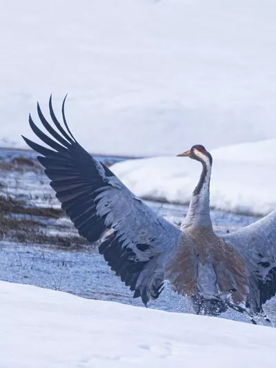 345645389 693501712534800 334844967292402563 n