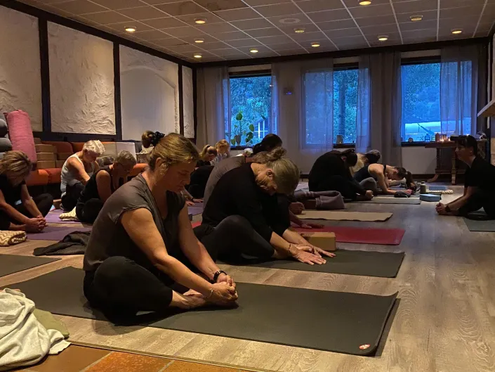 Yoga Hemsedal studio