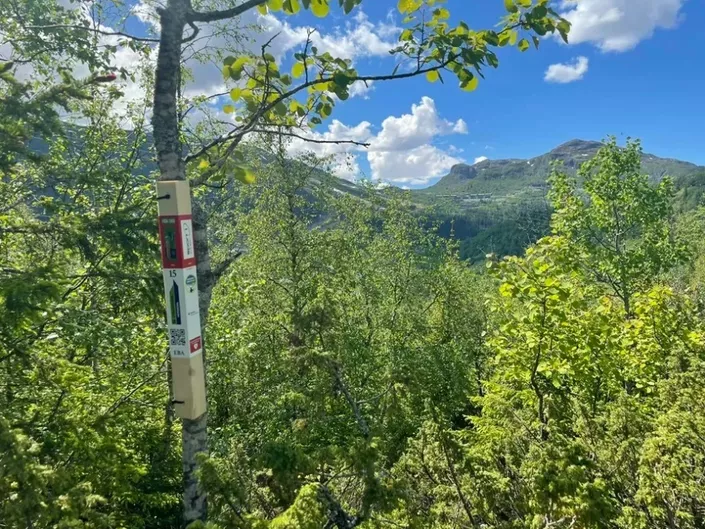 Stolpejakt Hemsedal