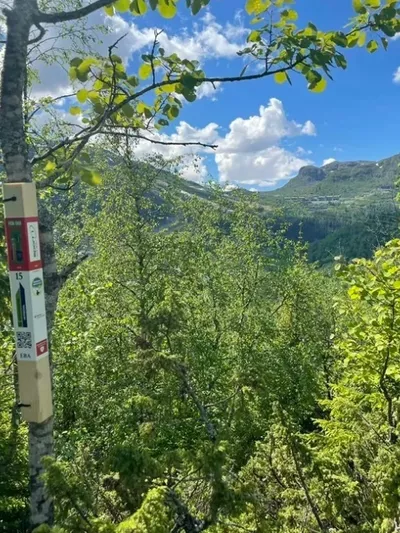 Stolpejakt om sommeren.