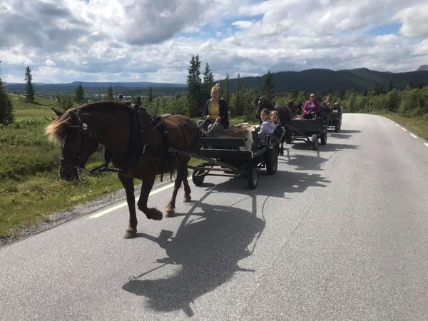 Hest og vogn