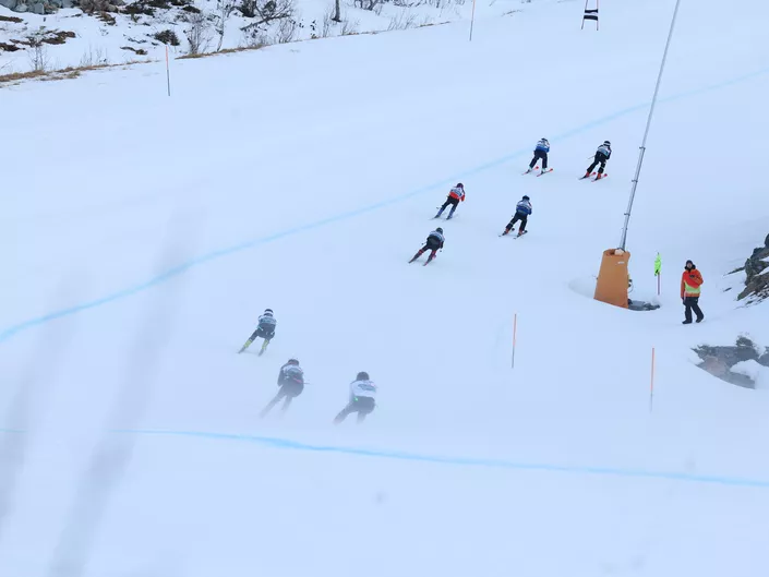 Hund 25 KH Race 186