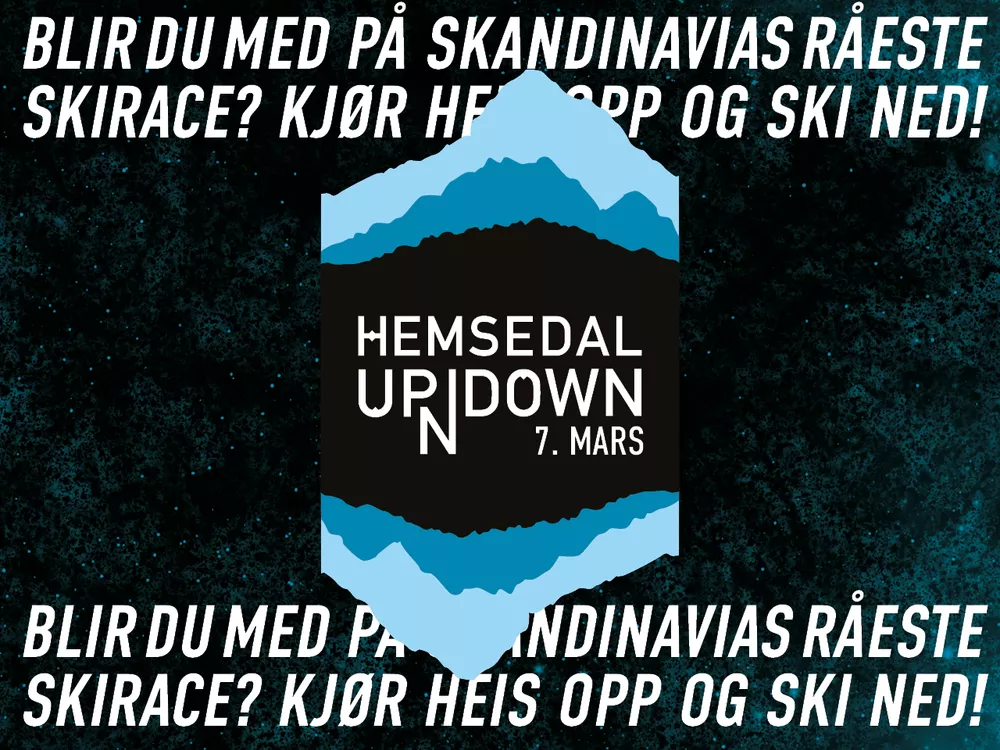 1280x960 poster Hund