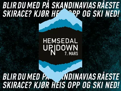 1280x960 poster Hund