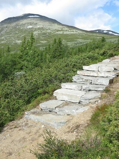 Steintrapp og Skogshorn