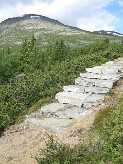Steintrapp og Skogshorn