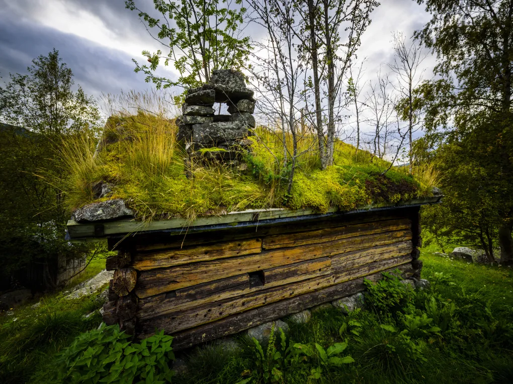 Smia i Hustad