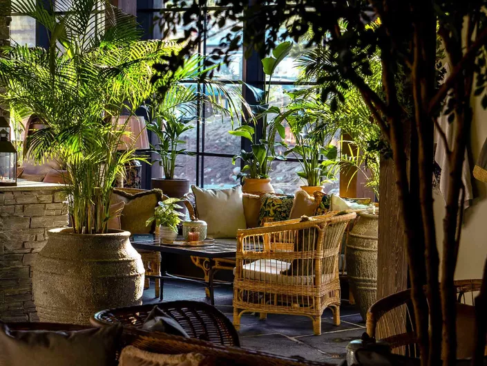 Pool club i Hemsedal med palmer