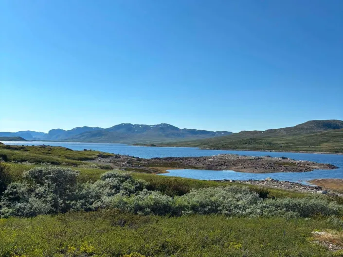 Flævass sommer 26