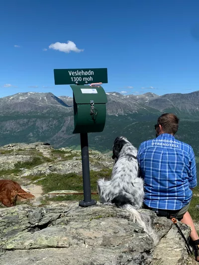En mann og to hunder på tur i fjellet. I bakgrunnen er det et skilt og en postkasse på toppen av Veslehøden.