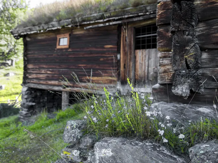 entrance to an old house