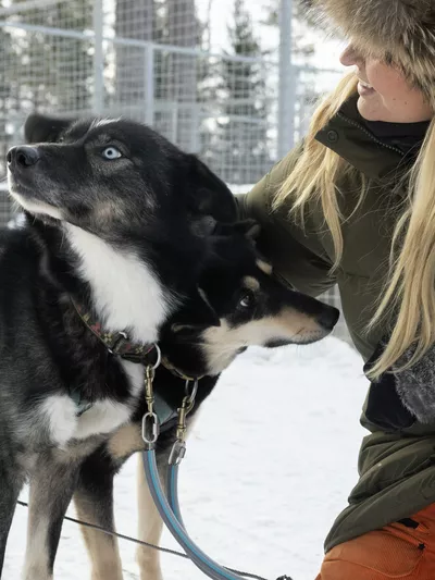 kvinne sitter på huk og klapper to hunder
