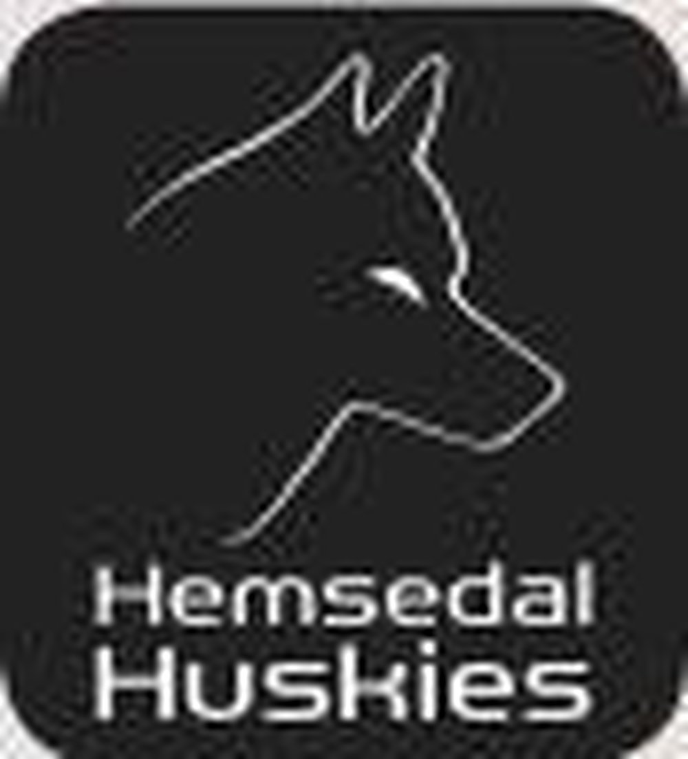 Hemsedal huskies logo
