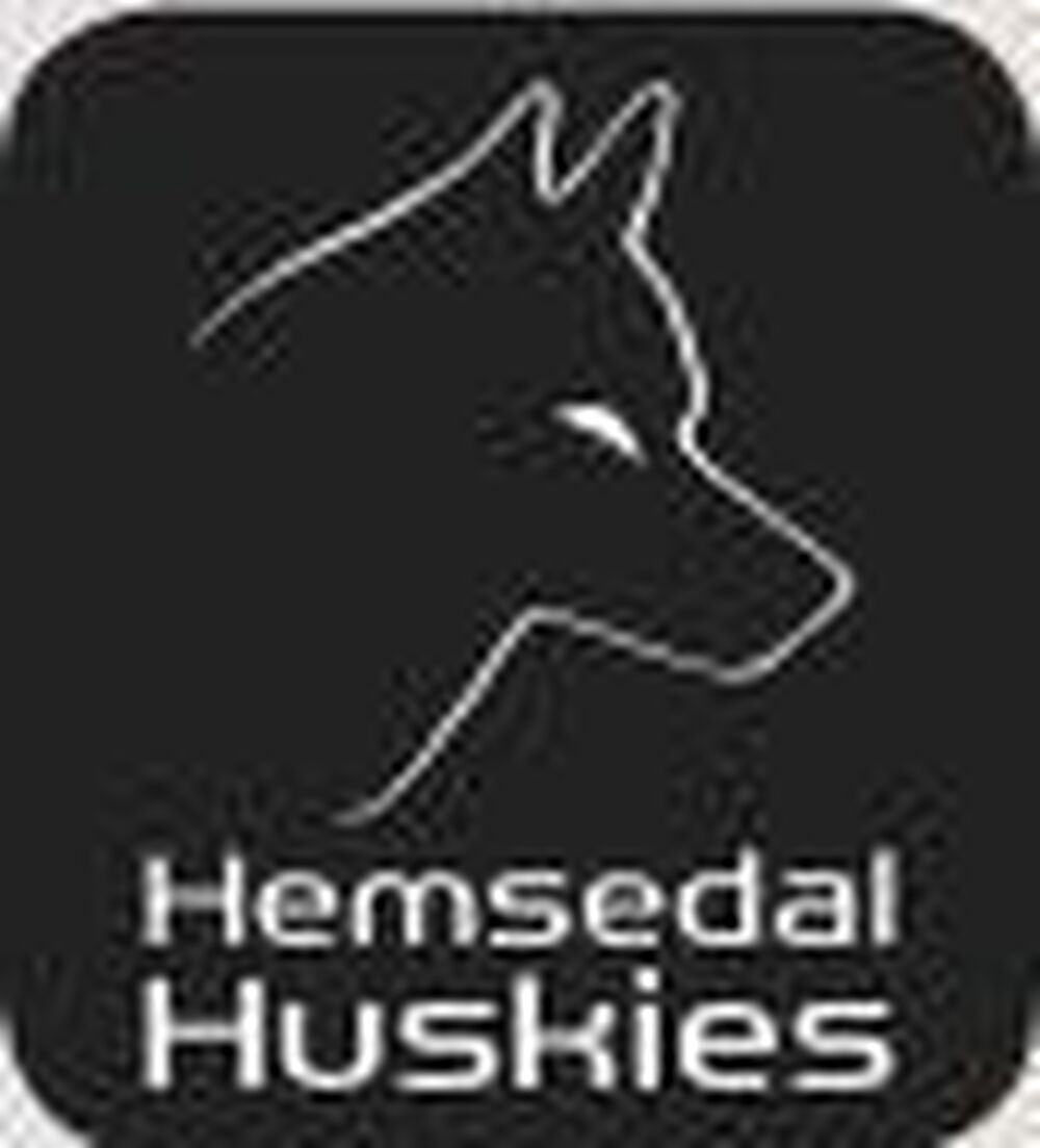 Hemsedal huskies logo