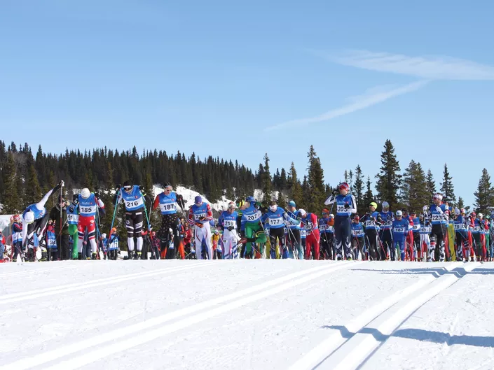 Langrennsstart for voksene, renn.