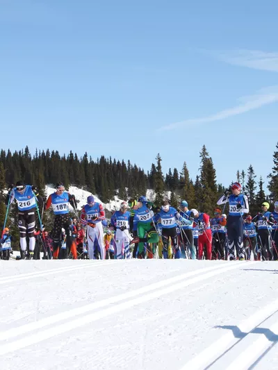 Langrennsstart for voksene, renn.