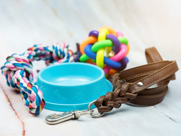 Adobe Stock 241291874 liten