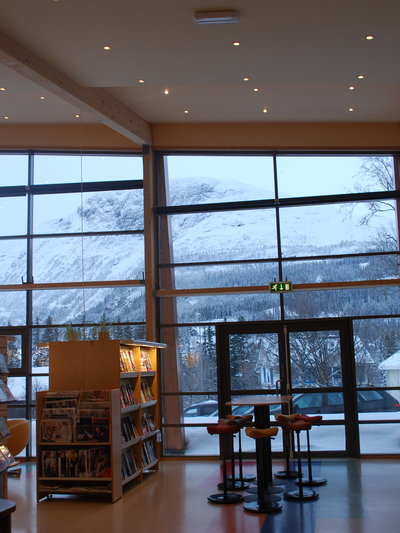Bibliotek 3 99 inne2
