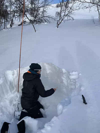 Dame som sjekker snødybden (skred faren).