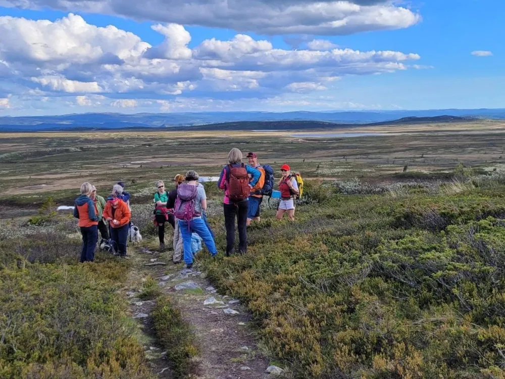 Sommertur Juni 2026 Foto Hemsedal Turlag