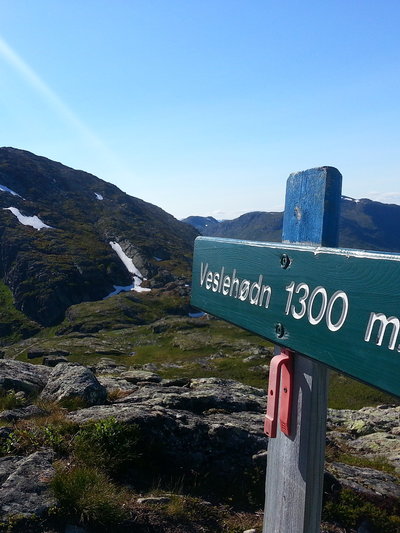 Topp20 veslehodn 3 13 KW