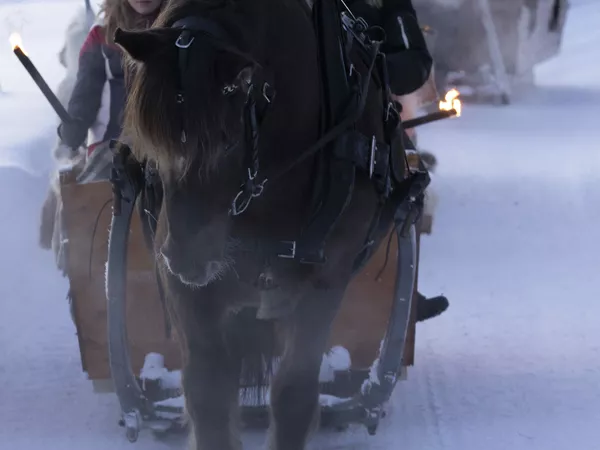 romantic sleigh rides near me