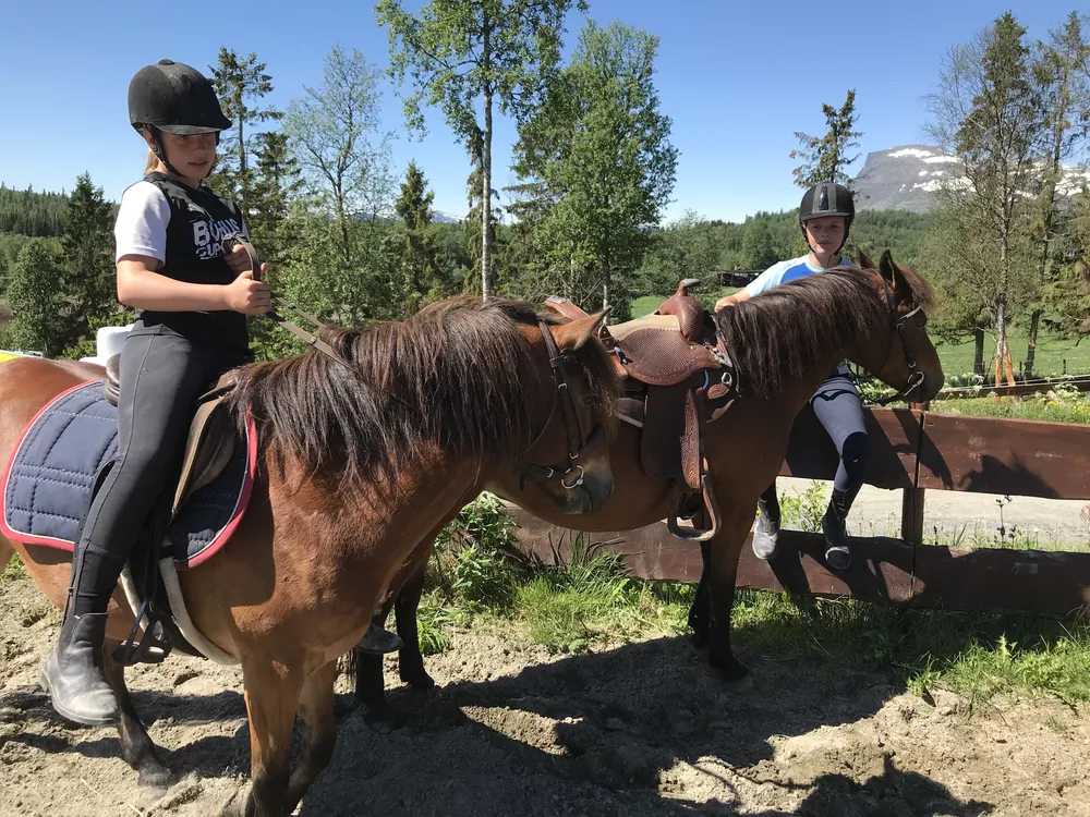 To jenter og to brune hester (sommer).