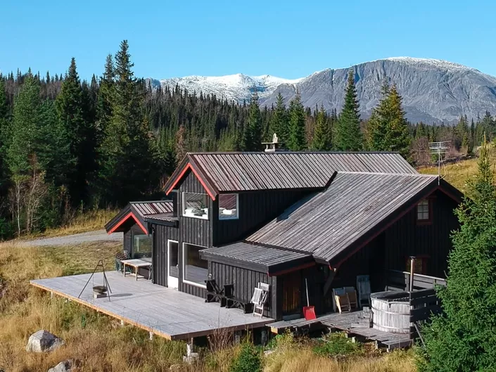 Bilde av et brunt hus