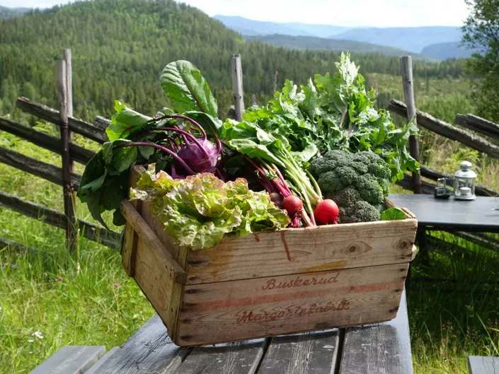 Kasse med grønnsaker, i finværet.