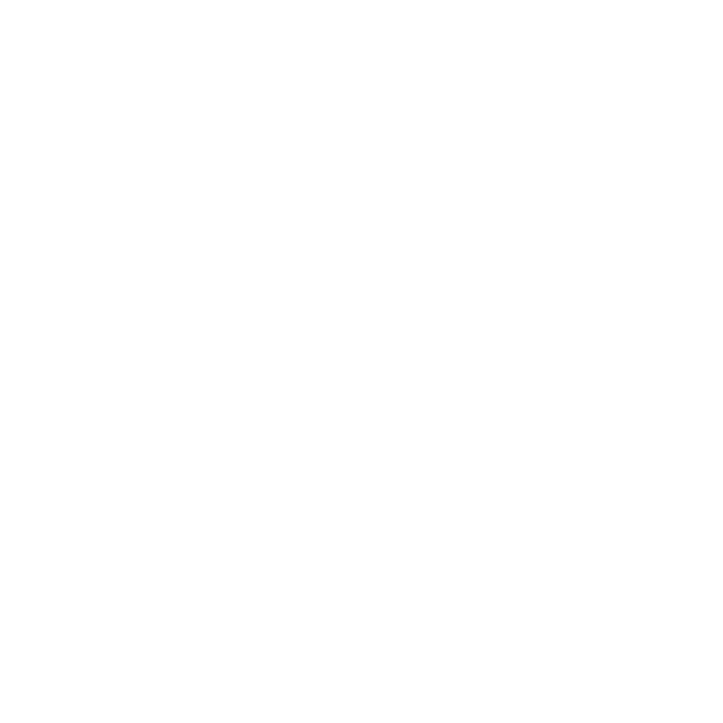 Hemsedal Viking House