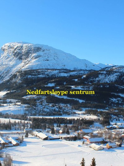 Nyørk februar 2013 002 oklippt