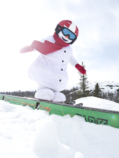 Alpin hemsedal KH 2014 68