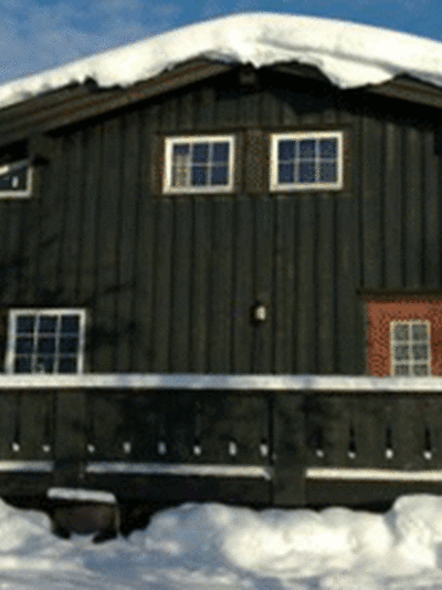 Skogshornhytteutleie vinter