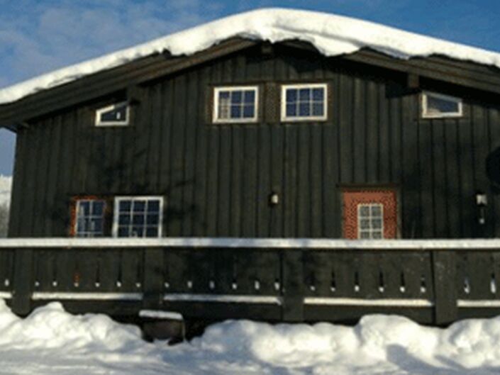 Skogshornhytteutleie vinter