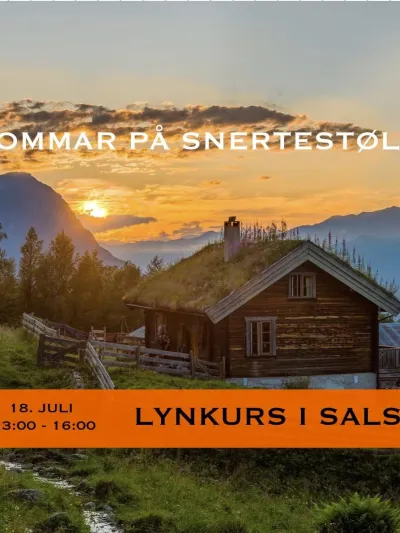Lynkurs i salsa