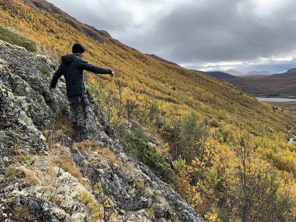 Autumn yogi solheisen