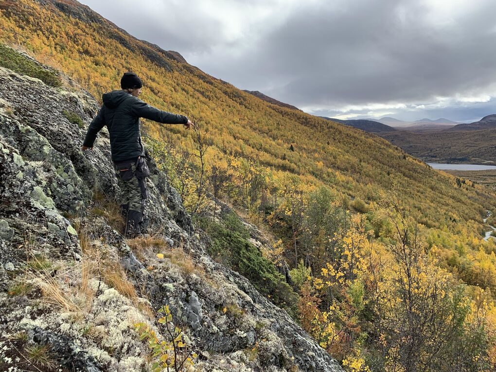 Autumn yogi solheisen
