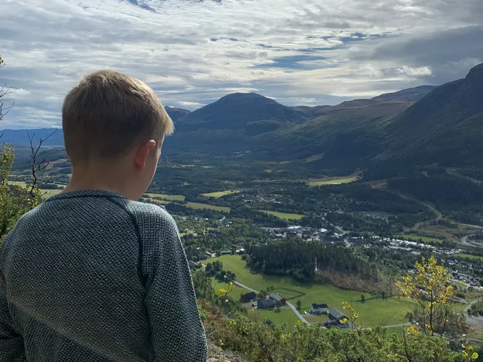 Steget IH