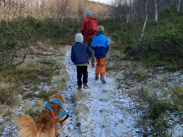 Venåshøvda sti IH