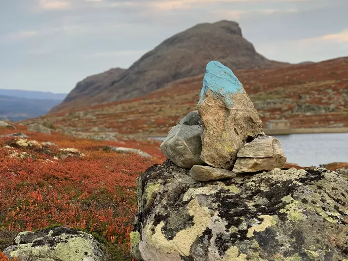 Blåmerket stein IH