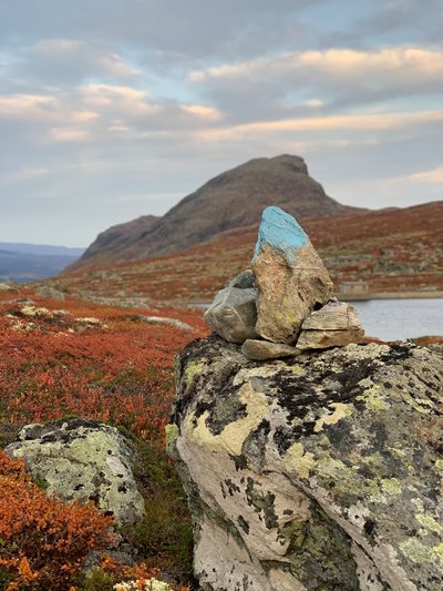 Blåmerket stein IH