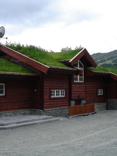 Larsen 2