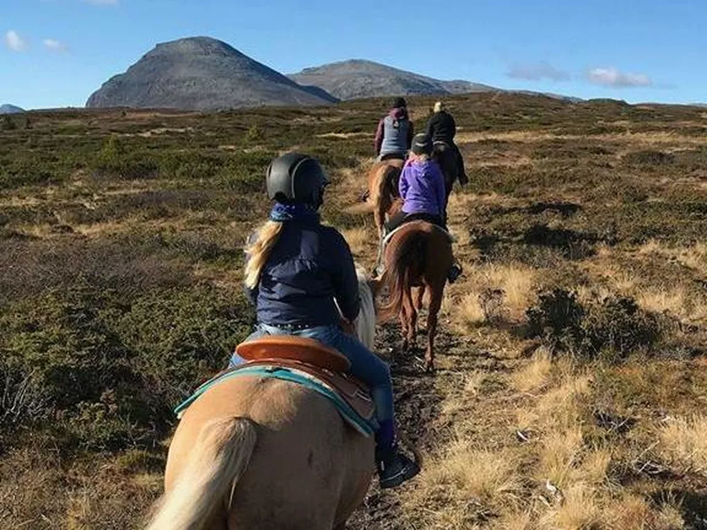 Tre mennesker på hesteryggen på fjellet i Hemsedal