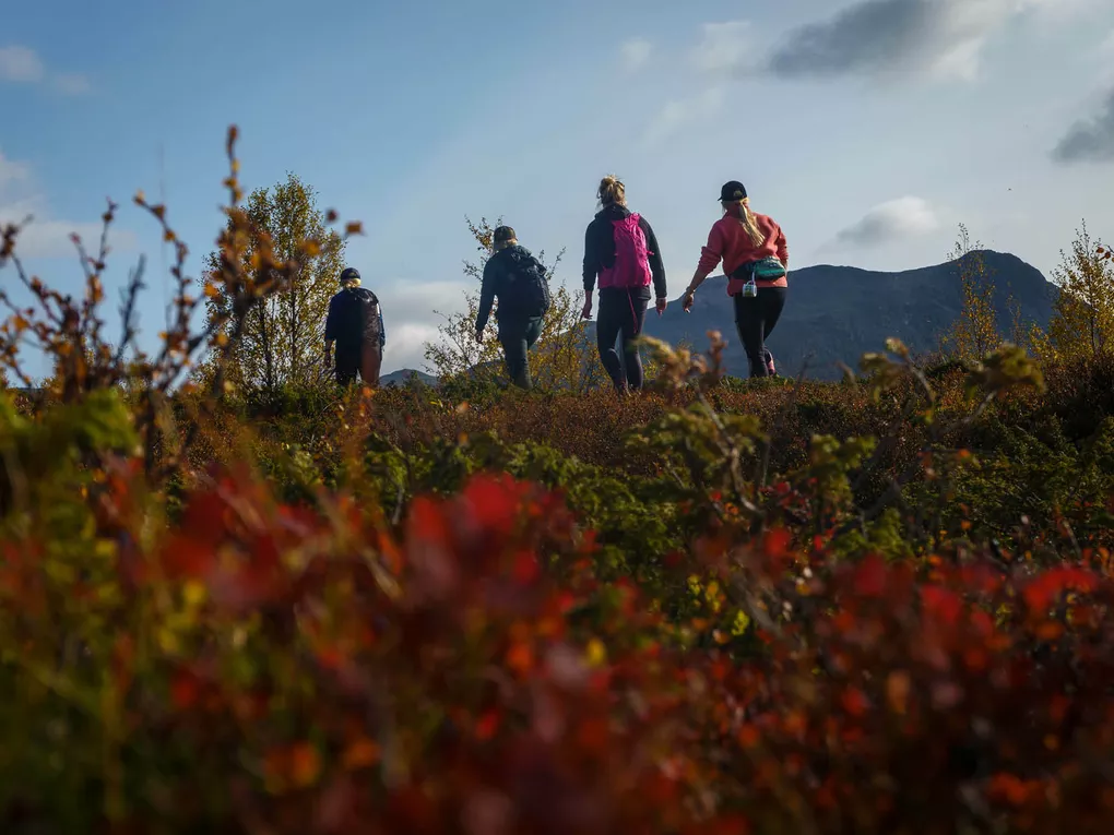 Fire mennesker på vandring i fjellet