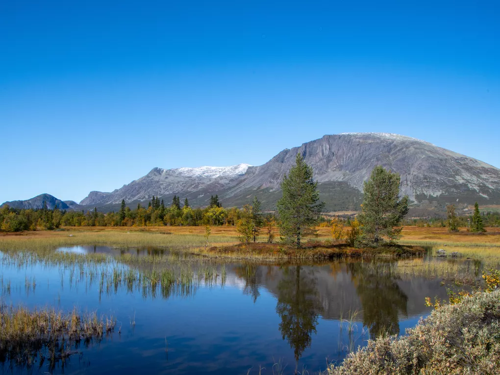 Tjern på fjellet med Skogshorn i bakgrunnen